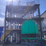 鐵離子雜質對過硫酸鈉結晶的影響有哪些？